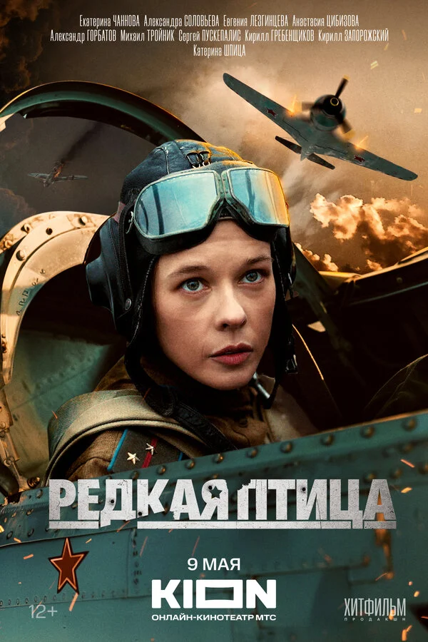 Редкая птица 2024 смотреть онлайн бесплатно